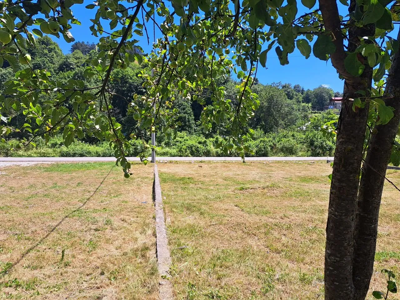 Travnati plac okružen drvećem i zelenilom.