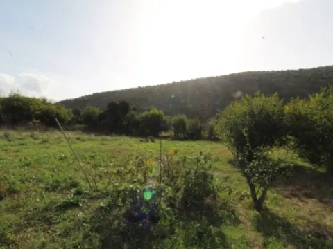 Prodaja, plac, 1700m², Tomba, Bar - image 4