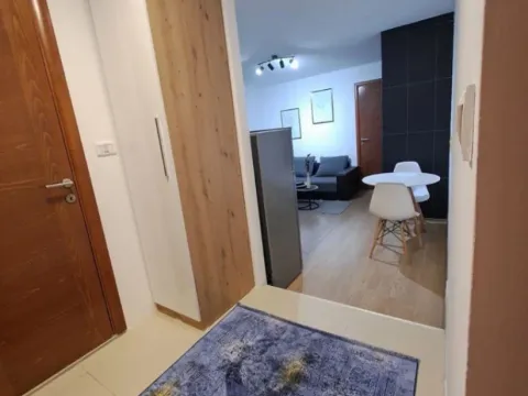 Izdavanje, jednosoban stan, 45m², Centar, Podgorica - image 2