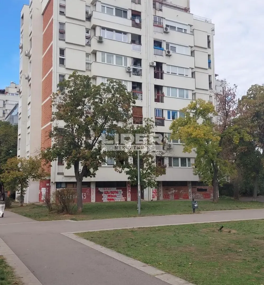 Izdavanje, dvosoban stan, 56m², Novi Beograd Blok 63, Novi Beograd Sve Podlokacije