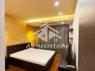 Izdavanje, dvosoban stan, 60m², Novi Beograd Sve Podlokacije, Beograd - image 10