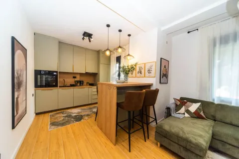 Izdavanje, jednosoban stan, 45m², Preko Morače, Podgorica - image 3
