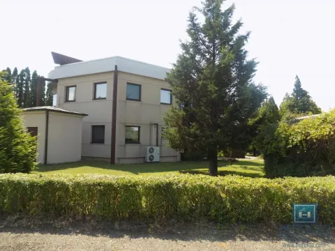 Izdavanje, poslovni prostor, 270m², 7. juli, Paraćin - image 5