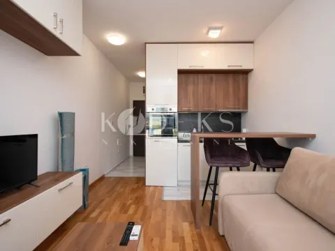 Izdavanje, garsonjera, 23m², Stari Aerodrom, Podgorica - image 4