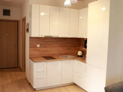 Rent, studio apartment, 30m², Budva, Crna Gora - image 21