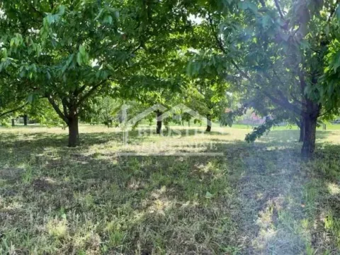 Prodaja, plac, 1050m², Plavinac, Smederevo - image 5