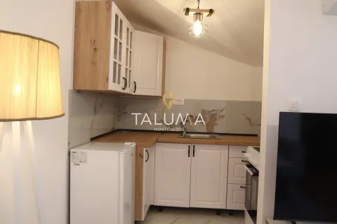 Rent, studio apartment, 28m², Zagorič, Podgorica - image 4