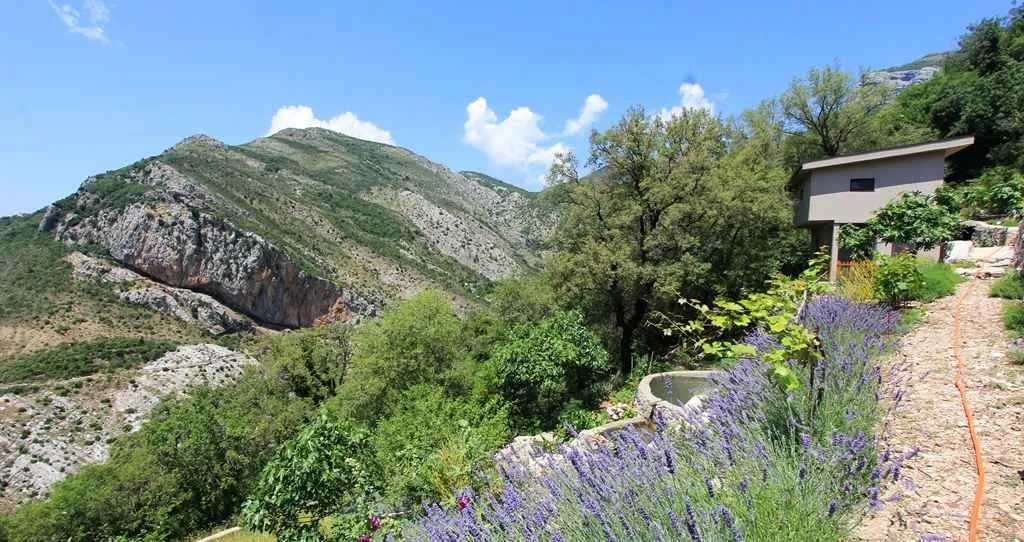 Pogled na malu kuću okruženu prirodom i planinskim pejzažom.
