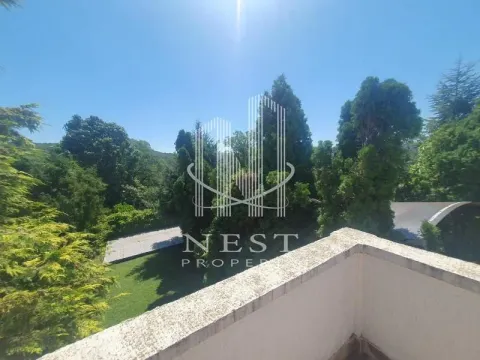 Izdavanje, kuća, 300m², Dedinje Sve Podlokacije, Beograd - image 13