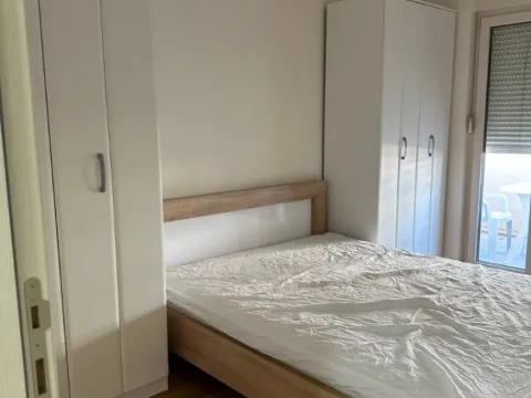 Izdavanje, jednosoban stan, 49m², Central Point, Podgorica - image 8