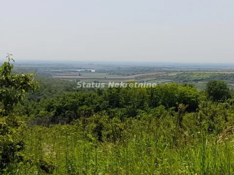 Pogled na okolnu prirodu i zelenilo sa nekretnine. - image 7