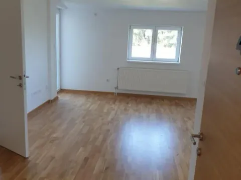 Rent, two bedroom apartment, 42m², Telep, Novi Sad Sve Podlokacije - image 5