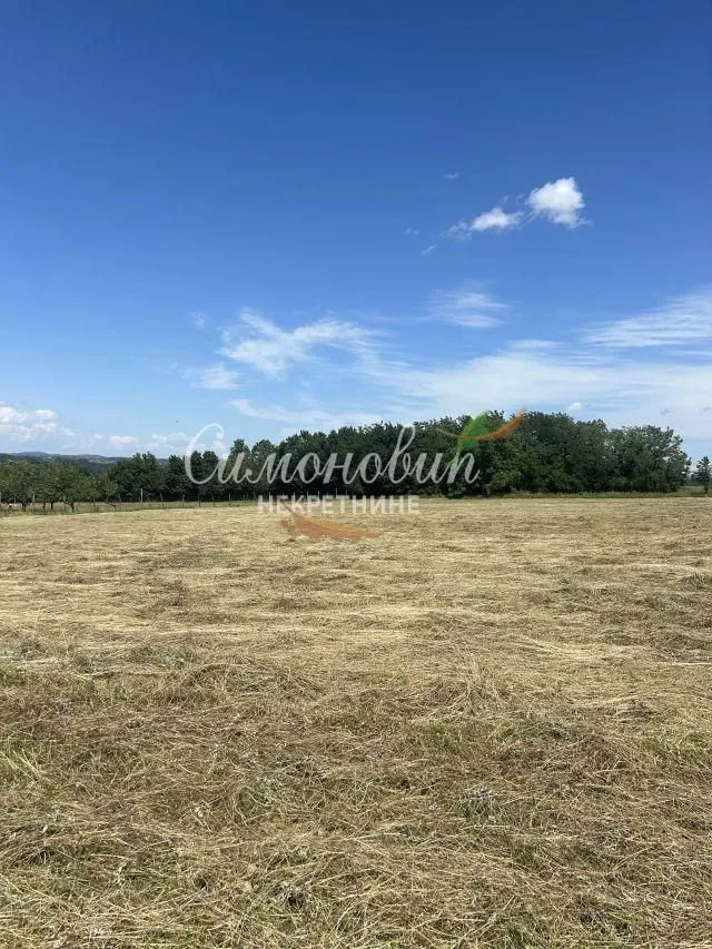 Prodaja, plac, 9000m², Arnajevo, Barajevo
