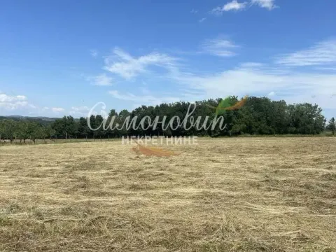 Prodaja, plac, 9000m², Arnajevo, Barajevo - image 3