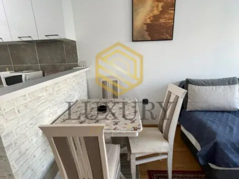 Izdavanje, jednosoban stan, 50m², Stari Aerodrom, Podgorica - image 9