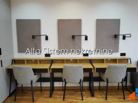 Rent, office space, 250m², Bogoslovija, Palilula Sve Podlokacije - image 10