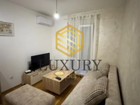 Izdavanje, garsonjera, 22m², Zabjelo, Podgorica - image 1