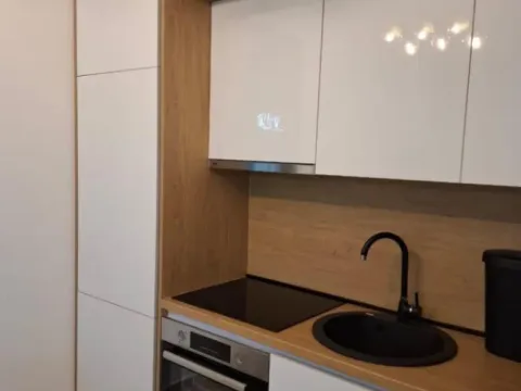 Izdavanje, jednosoban stan, 60m², Stara Varoš, Podgorica - image 3