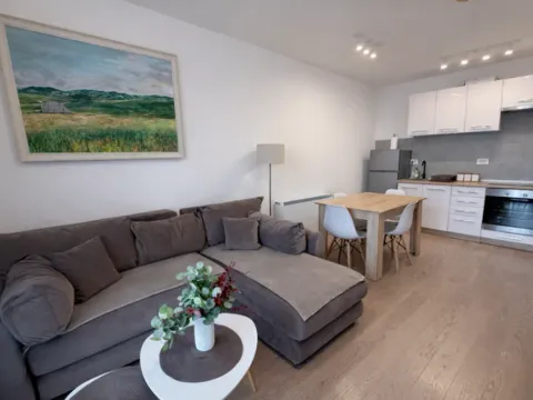 Prodaja, stan, 39m², Palisad, Zlatibor - image 6