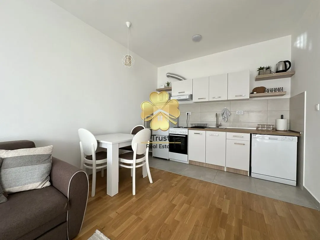 Rent, one bedroom apartment, 14m², Zabjelo, Podgorica