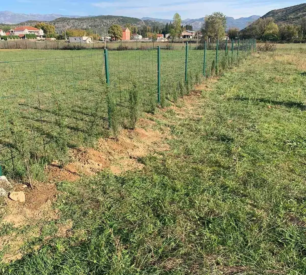 Prodaja, plac, 1085m², Grbe, Danilovgrad