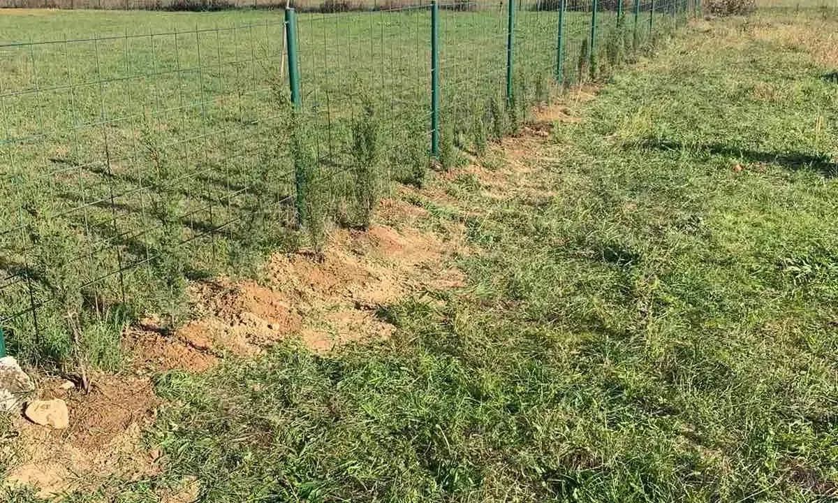 Sale, land lot, 1085m², Grbe, Danilovgrad