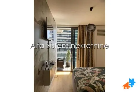 Rent, two bedroom apartment, 63m², Savski Venac, Beograd - image 9
