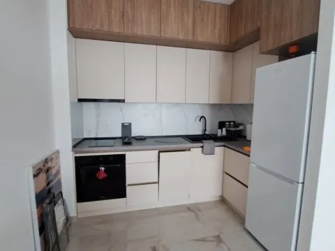 Rent, one bedroom apartment, 54m², Zagorič, Podgorica - image 5