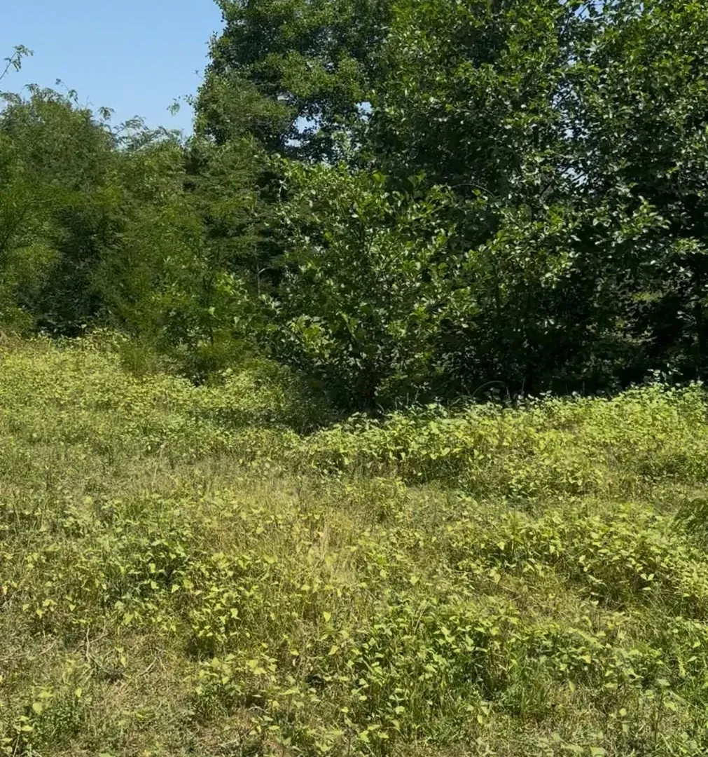 Sale, land lot, 500m², Cetinje, Crna Gora