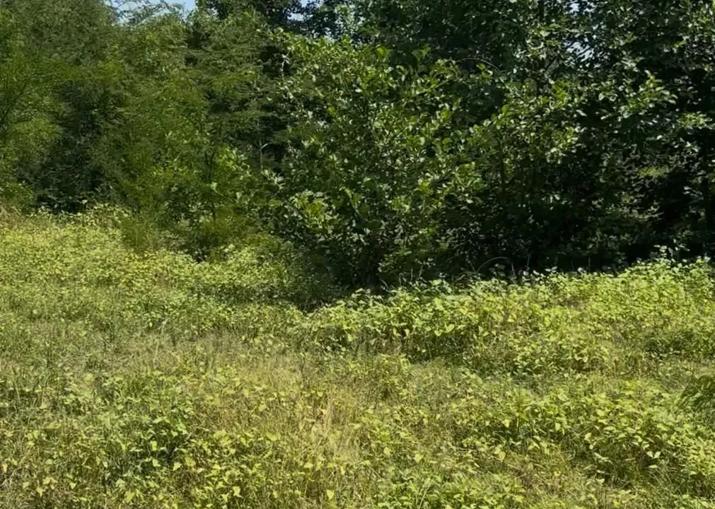 Prodaja, plac, 500m², Cetinje, Crna Gora