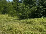 Prodaja, plac, 500m², Cetinje, Crna Gora - image 1