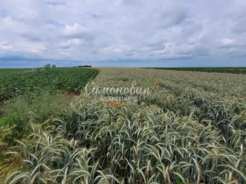 Prodaja, plac, 2200m², Zemun Ugrinovci, Zemun Sve Podlokacije - image 3