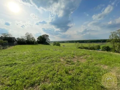 Prodaja, plac, 2400m², Rakovac, Novi Sad Sve Podlokacije - image 3