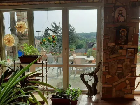 Prodaja, kuća, 587m², Sremska Kamenica, Petrovaradin - image 9