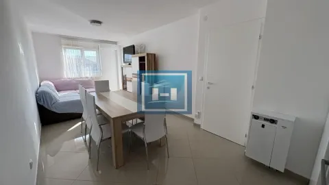 Izdavanje, jednosoban stan, 44m², Centar, Jagodina - image 2