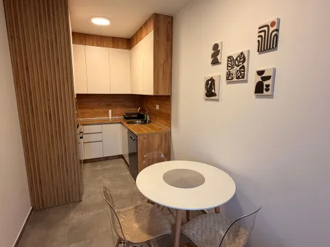 Rent, one bedroom apartment, 40m², Centar, Cetinje - image 8