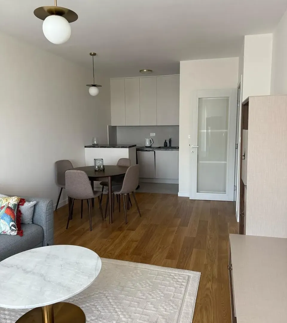 Izdavanje, jednosoban stan, 49m², Central Point, Podgorica