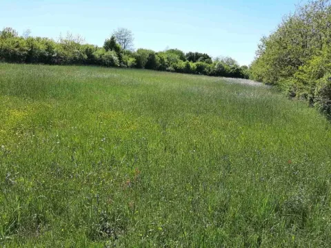 Prodaja, plac, 12600m², Dučina, Sopot - image 3