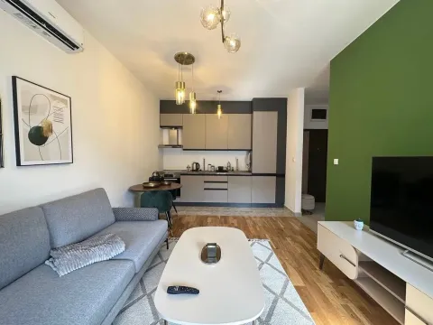Rent, one bedroom apartment, 45m², Zabjelo, Podgorica - image 2