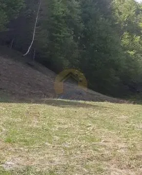 Sale, land lot, 6600m², Kolašin, Crna Gora - image 7