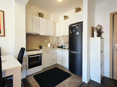 Rent, one bedroom apartment, 48m², Vezirov Most, Podgorica - image 5