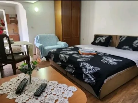 Rent, one bedroom apartment, 30m², Petrovaradin, Novi Sad - image 5