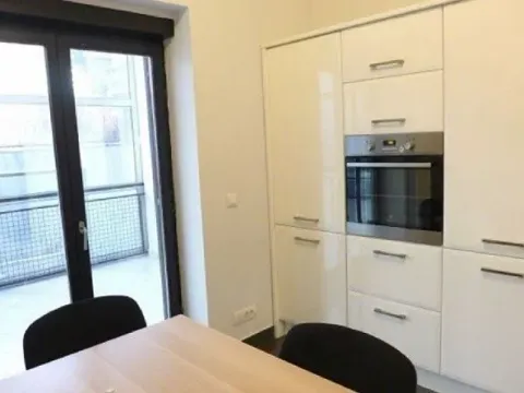 Izdavanje, kuća, 550m², Autokomanda, Voždovac Sve Podlokacije - image 5