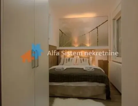 Izdavanje, dvosoban stan, 40m², Vračar Hram, Vračar Sve Podlokacije - image 10