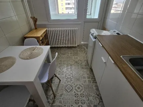 Rent, one bedroom apartment, 31m², Lion, Zvezdara Sve Podlokacije - image 9