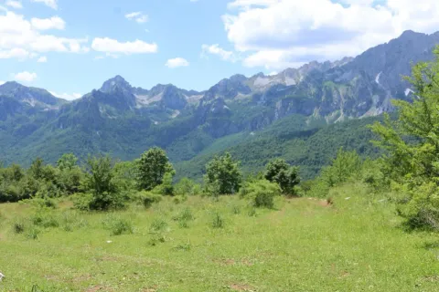 Prodaja, plac, 45000m², Gornje Lipovo, Kolašin - image 4