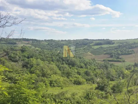 Sale, land lot, 4200m², Sremski Karlovci, Novi Sad - image 3