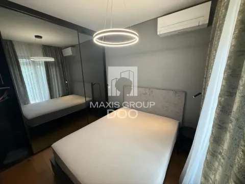 Izdavanje, dvosoban stan, 50m², Savski Venac, Beograd - image 17