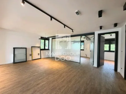 Izdavanje, poslovni prostor, 563m², Savski Venac, Beograd - image 11
