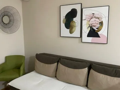 Izdavanje, jednosoban stan, 40m², Stari Aerodrom, Podgorica - image 4